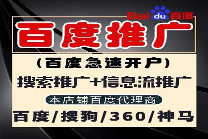 百度推广运营实战：成功案例解析